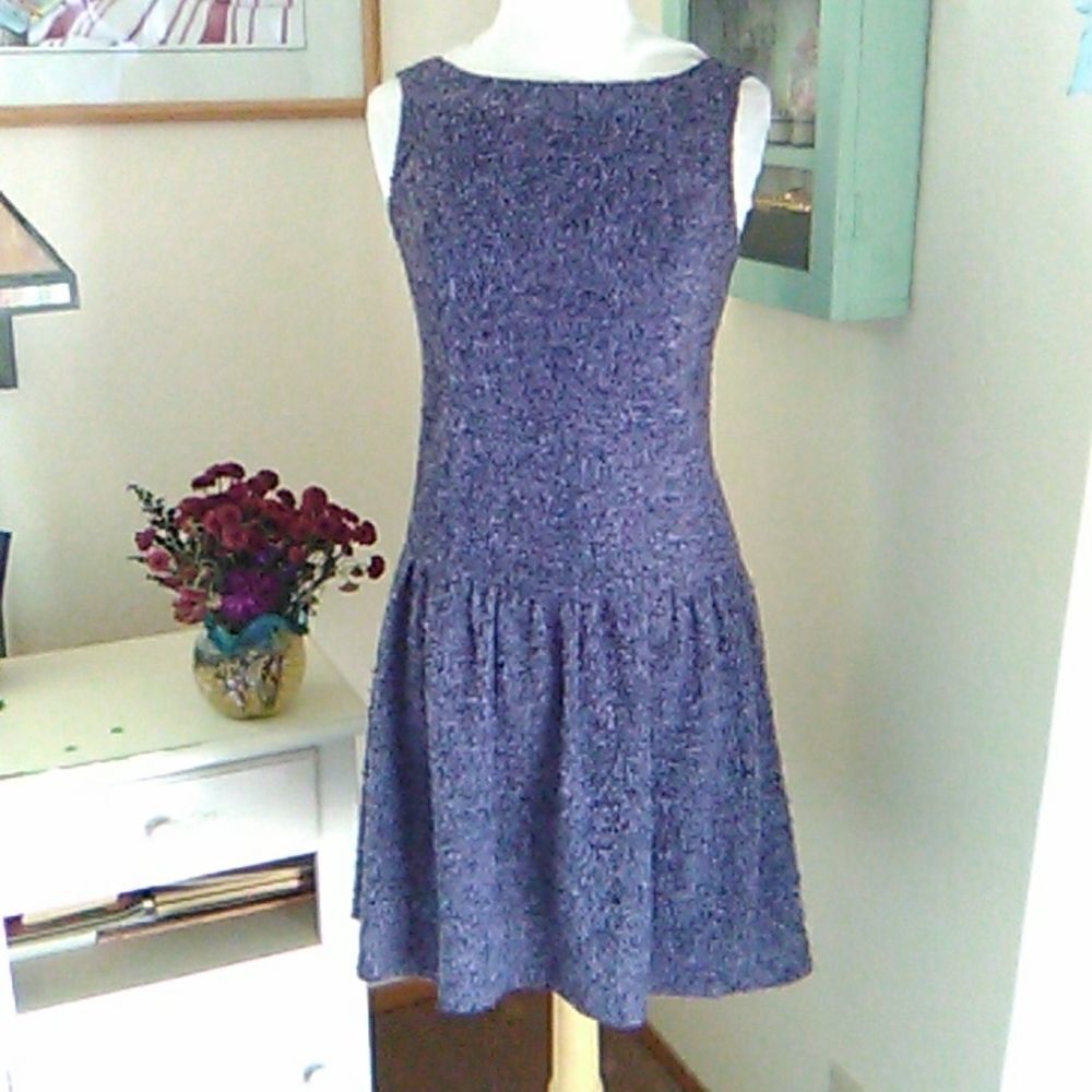Vintage Anna Sui Purple Dropped Waist Dress